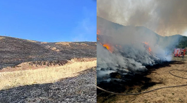 Erzurum Güneyçam'da anız yangını