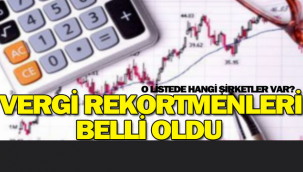 Erzurum Vergi Rekortmenleri