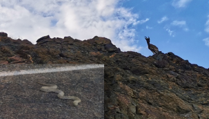 Bu köy ödülü hak ediyor