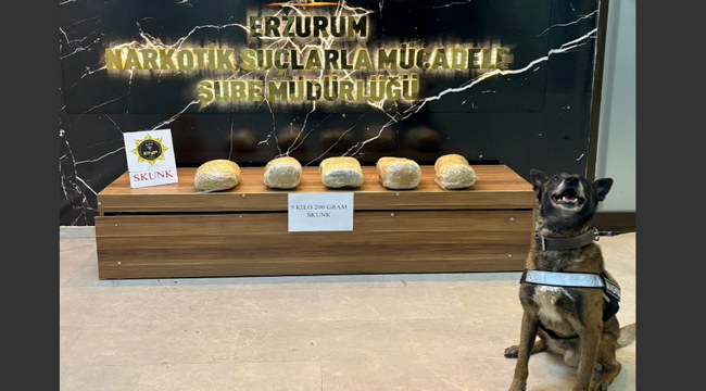 Erzurum'da uyuşturucu operasyonu