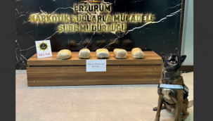 Erzurum'da uyuşturucu operasyonu