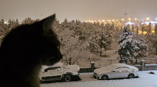 Erzurum güne kar yağışı ile uyandı