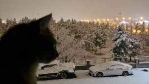 Erzurum güne kar yağışı ile uyandı