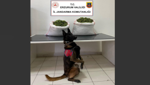 Jandarma'dan uyuşturucu operasyonu