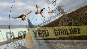 Ördek yerine oğlunu vurdu