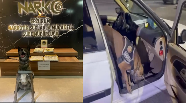 Magnum yine enseledi...