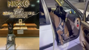 Magnum yine enseledi...