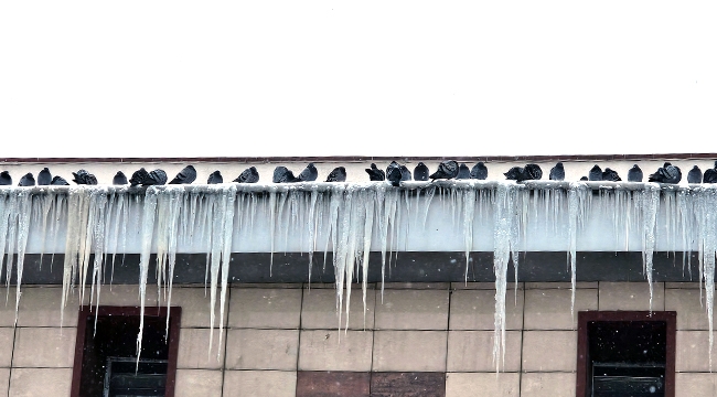 Erzurum Eksi 25'i Gördü