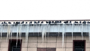 Erzurum Eksi 25'i Gördü