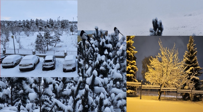 Erzurum'da kar yağışı etkili oldu