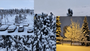 Erzurum'da kar yağışı etkili oldu