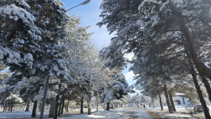 Erzurum'da buzlanma, don ve çığ uyarısı