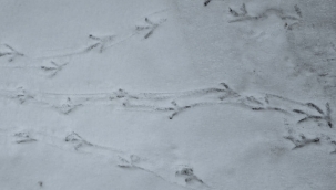 Meteoroloji'den Erzurum ve çevresine uyarı