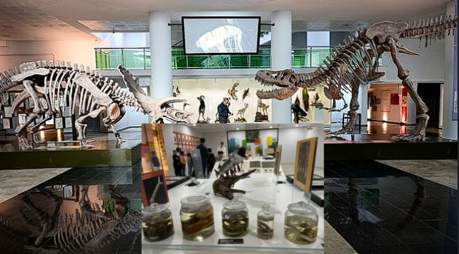 Atatürk Üniversitesi'nde tıbbi bitki ve kuş sergisi