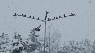 Erzurum Kışta İkinci Yarı Başladı