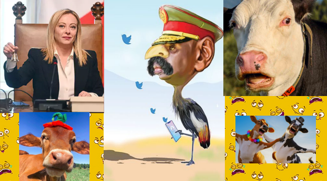 Uganda'nın kuş beyinlisi, şimdi de Türkiye'den 1 milyon dolar ve eş talep ediyor