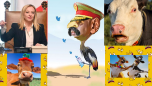 Uganda'nın kuş beyinlisi, şimdi de Türkiye'den 1 milyon dolar ve eş talep ediyor