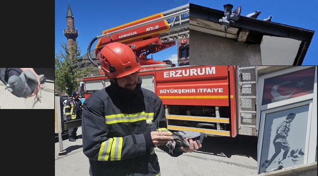 Erzurum'da İtfaiye'nin kuş operasyonu...