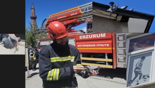 Erzurum'da İtfaiye'nin kuş operasyonu...