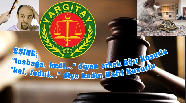 Yargatıydan emsal karar