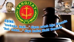 Yargatıydan emsal karar