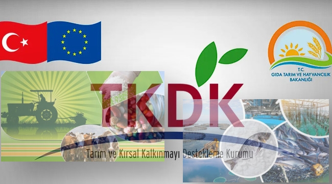 Avrupa Hibe Desteğine Proje Çağrısı