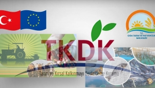Avrupa Hibe Desteğine Proje Çağrısı