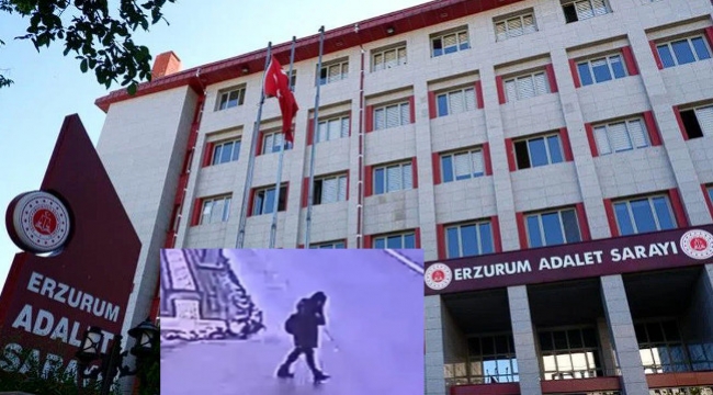 Gülistan Doku davasında 10 kişi daha yakalandı