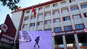 Gülistan Doku davasında 10 kişi daha yakalandı