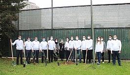 15 bin zeytin fidanı toprakla buluştu