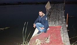 2 yavru kuzuyu ayaklarına ip bağlayıp Manavgat Irmağında ölüme terk ettiler