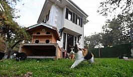 8 bin 451 can dostu sağlığına kavuştu