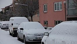 Ahlat'ta mevsimin ilk karı yağdı