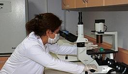 Akciğer kanseri tedavisi için umutlandıran haber