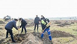 Ankara'ya 27 Aralık Ormanı