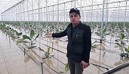 Antalya'da kuvvetli yağış sonrası seraları su bastı