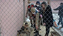 Ardahan'da sahipsiz sokak hayvanları emin ellerde