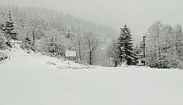 Artvin'de kar yağışı nedeniyle 29 köy yolu ulaşıma kapandı