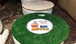 Atıklardan kedi yuvası