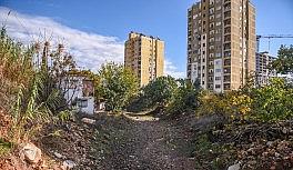 Ay Deresi yeşilleniyor