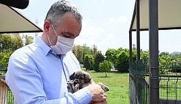 Başkan Esen: "Minik dostlarımızı yalnız bırakmadık"