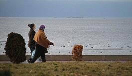 Beyşehir Gölü kıyısındaki parklara hafta içinde de ilgi arttı