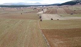 Beyşehir Gölünde su seviyesi azalıyor