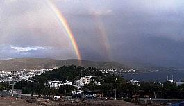 Bir anda ortaya çıktı herkes baka kaldı