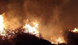 Bursa'da sazlık alanda yangın