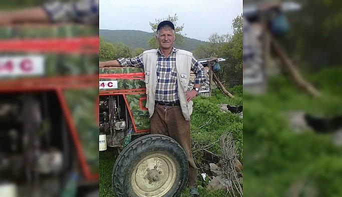 Bursa'da yaralı yaban domuzu köylüye saldırdı