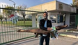 Bursaspor taraftarı tesise timsah getirdi