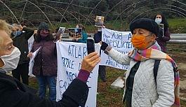 Büyükada'da "Ruam"dan itlaf edilen atlar ölüm yıl dönümünde anıldı