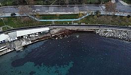 Caddebostan'da ilginç görüntü: Sahil kızıla boyandı