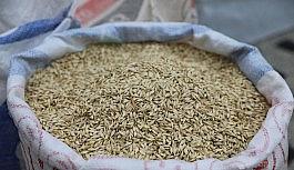 Çiftçiye 'siyez' desteği